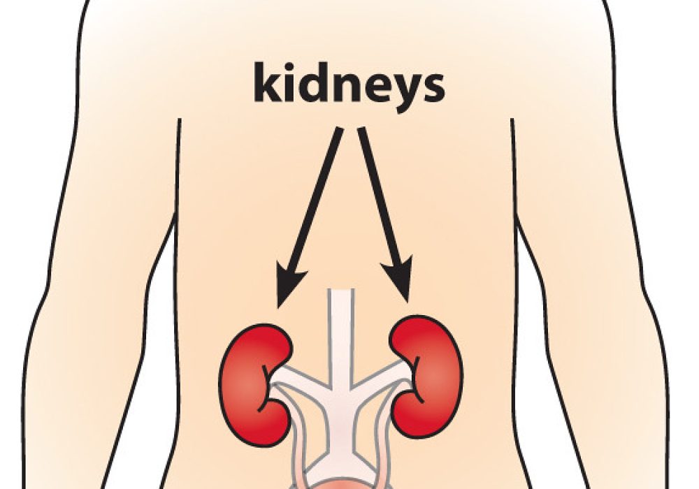 Kidney Dieases